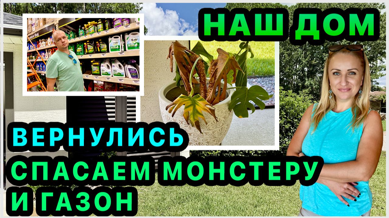 Вернулись в родной дом🥰Монстера погибает. Пробуем спасти газон. Наши будни. Ответы на комментарии