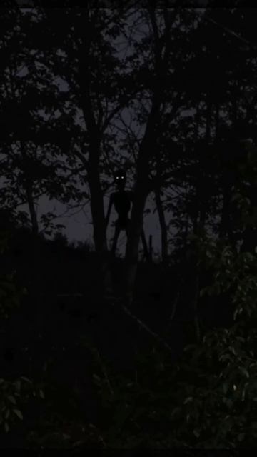 Ночь Призрак