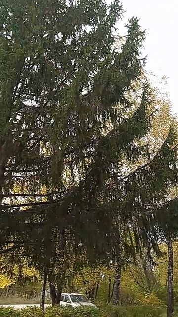 27-09-2026  улица