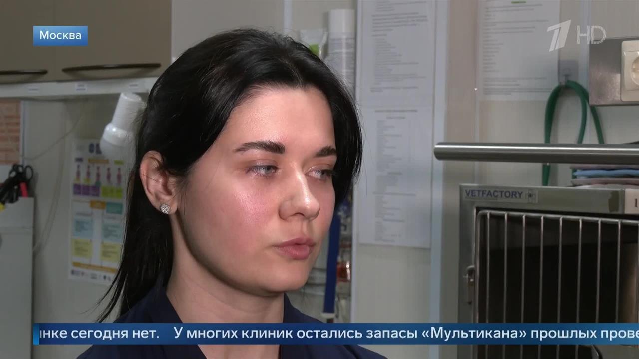 Ветеринар рассказала, какие риски создает ненадлежащая вакцинация животных.