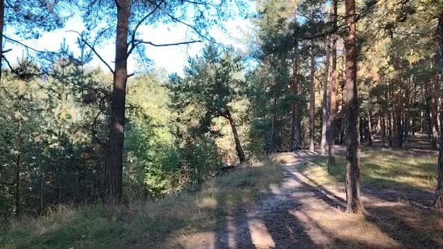 Что делать, чтобы отпуск не прожог дыру в бюджете?