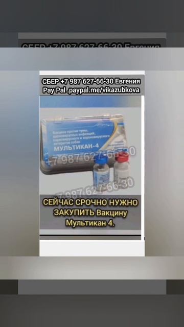Спасите от гибели ДЕТИШЕК в ОТЛОВЕ Башкирии! ❗СБОР на ЗАКУПКУ ВАКЦИН для них!
Дети