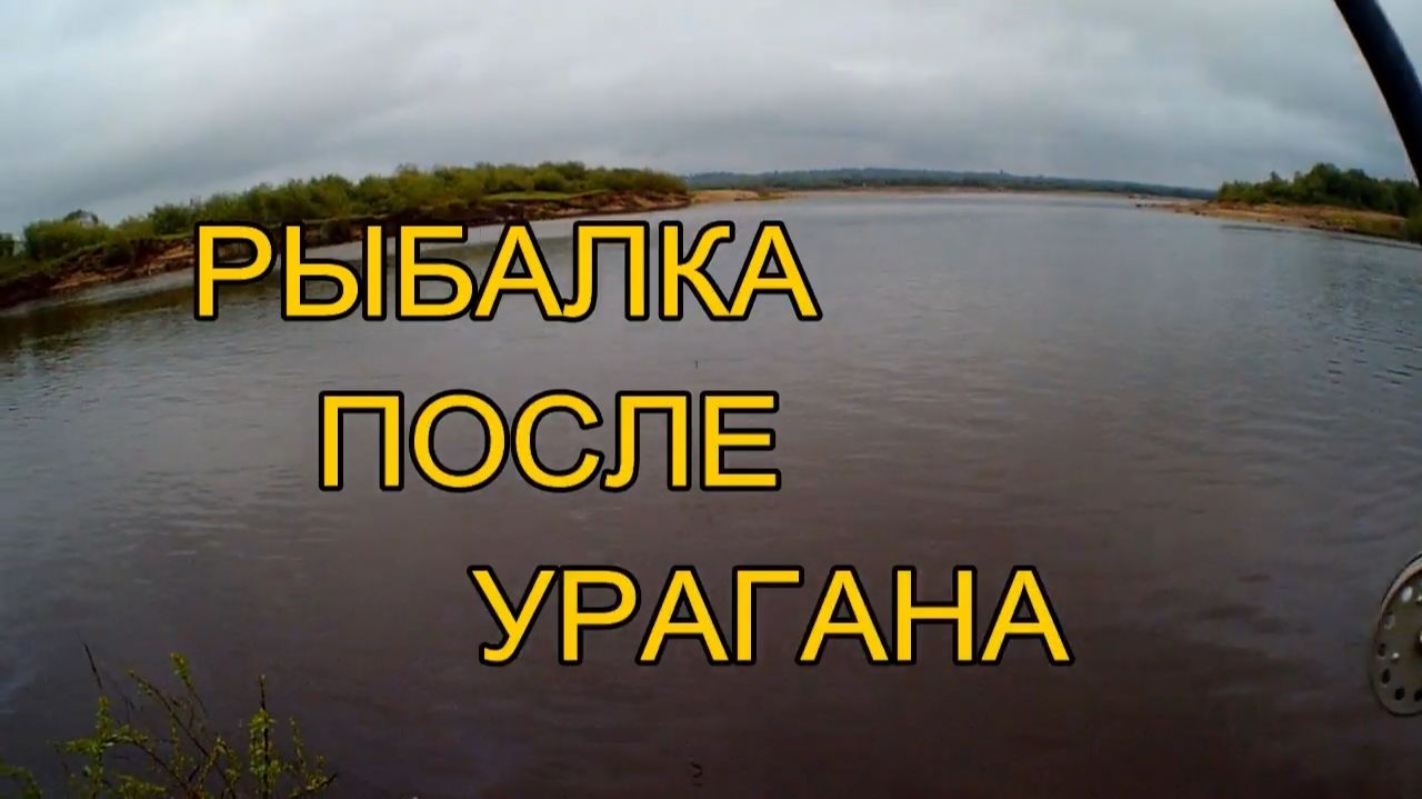 РЫБАЛКА ПОСЛЕ УРАГАНА. Ловля плотвы на удочку,спрятался в кустах от дождя. Прикормка рожки.