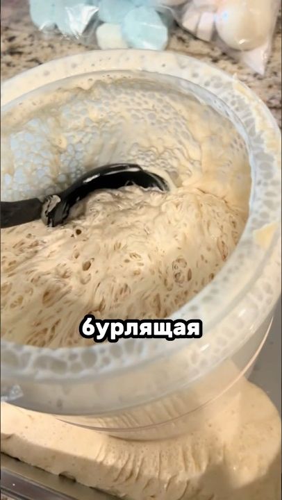 Как создаются закваска¿ #Shorts