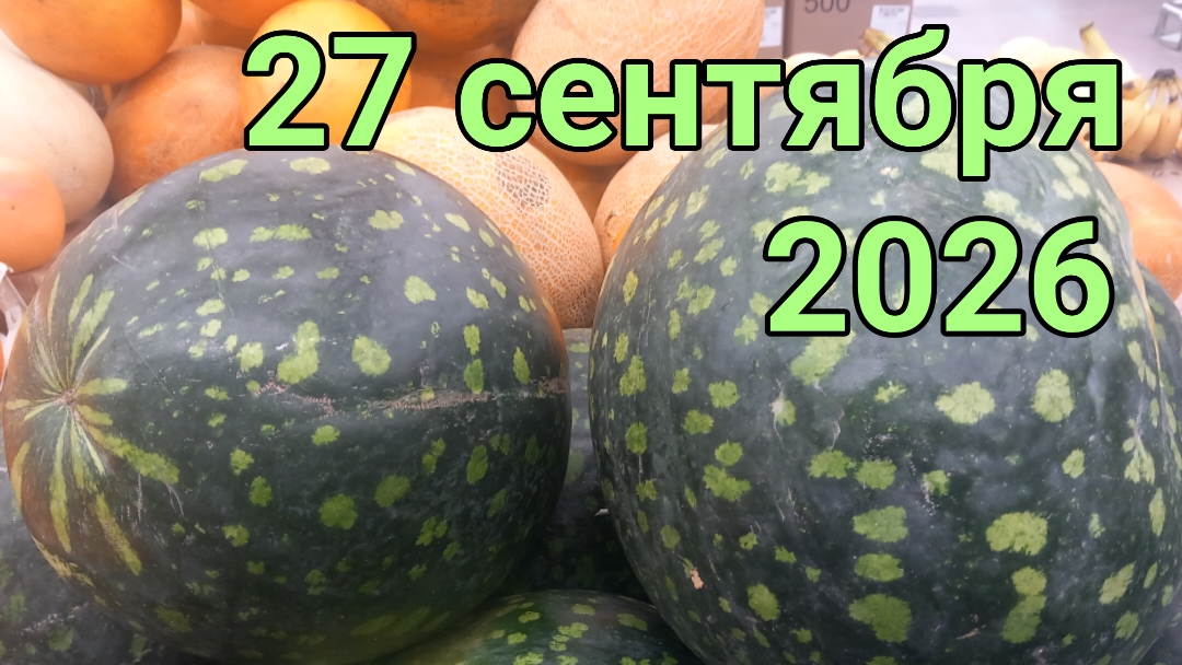 27 сентября 2026. Сентябрьские покупки...