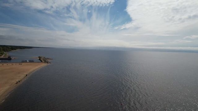 Прогулки зелёного медвежонка. №107, Зеленогорск, 28.05.2022