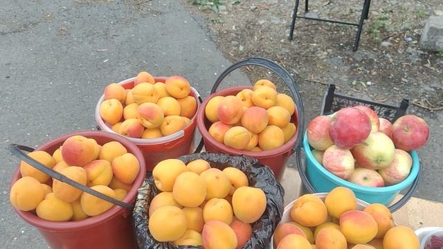 29 июля 26г.  Реальный сад- реальные фрукты.