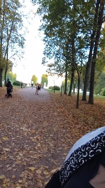 Красуюсь в парке.