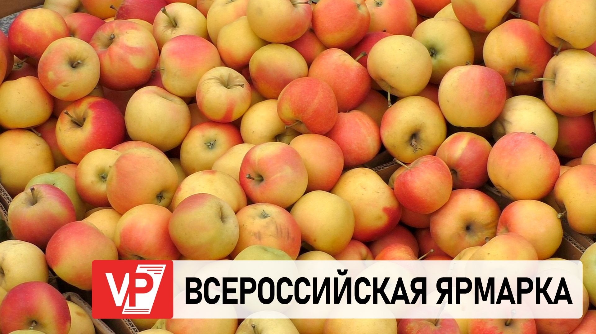В ДЗЕРЖИНСКОМ РАЙОНЕ ВОЛГОГРАДА ПРОХОДИТ «ВСЕРОССИЙСКАЯ ЯРМАРКА»