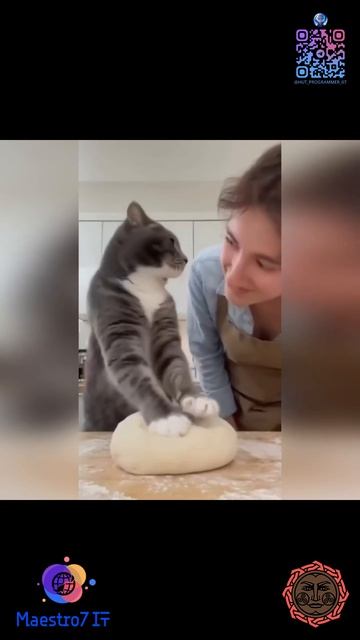 Кот печёт хлеб
