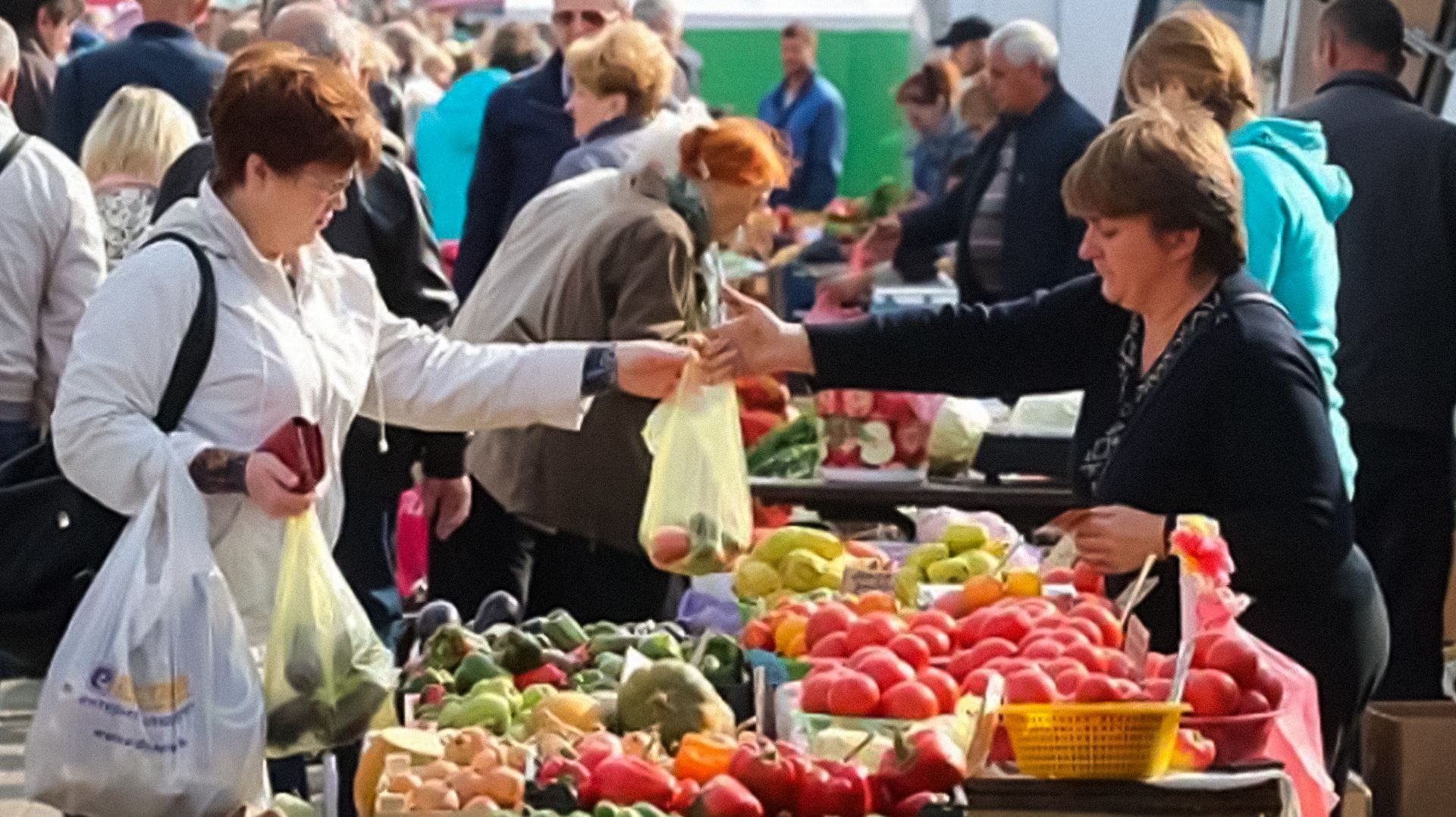 В Беларуси стартовал сезон ярмарок с ценами ниже магазинных и свежей продукцией