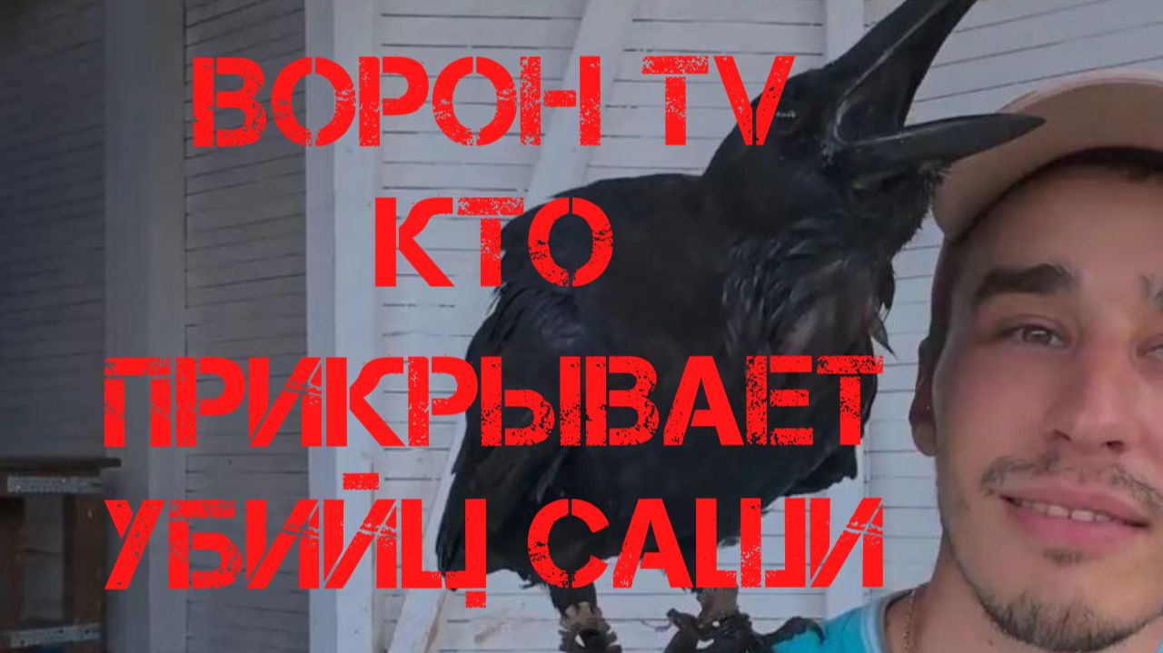 Ворон TV. Кто прикрывает убийц Саши