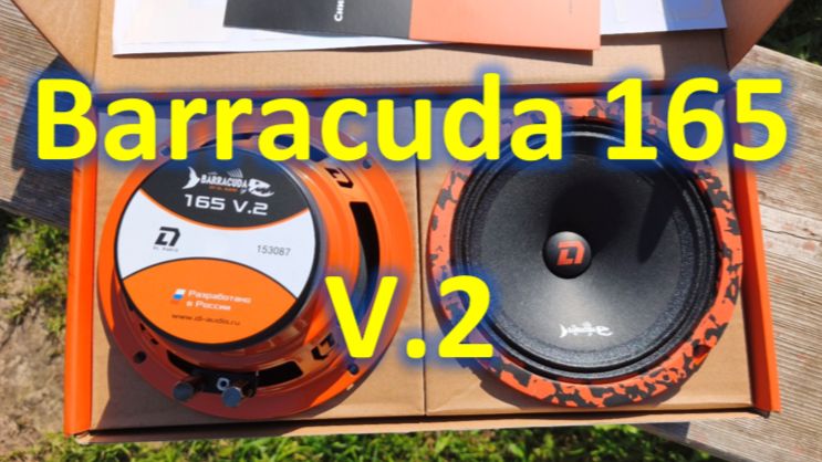 Бюджетная акустика для замены штатки. Barracuda 165 V.2.