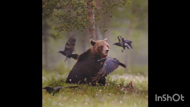 Сказка 