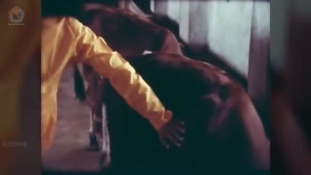 Документальный сериал о Шри Сатья Саи.   Серия 8.  Пашупати - Господь всех существ
