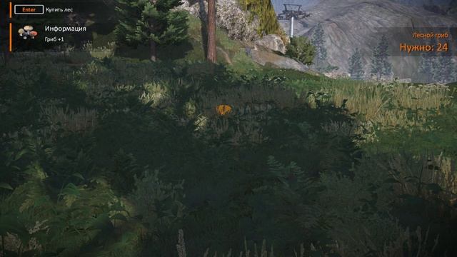 Lumberjack's Dynasty # 5