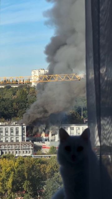 В Киеве вид из окна!