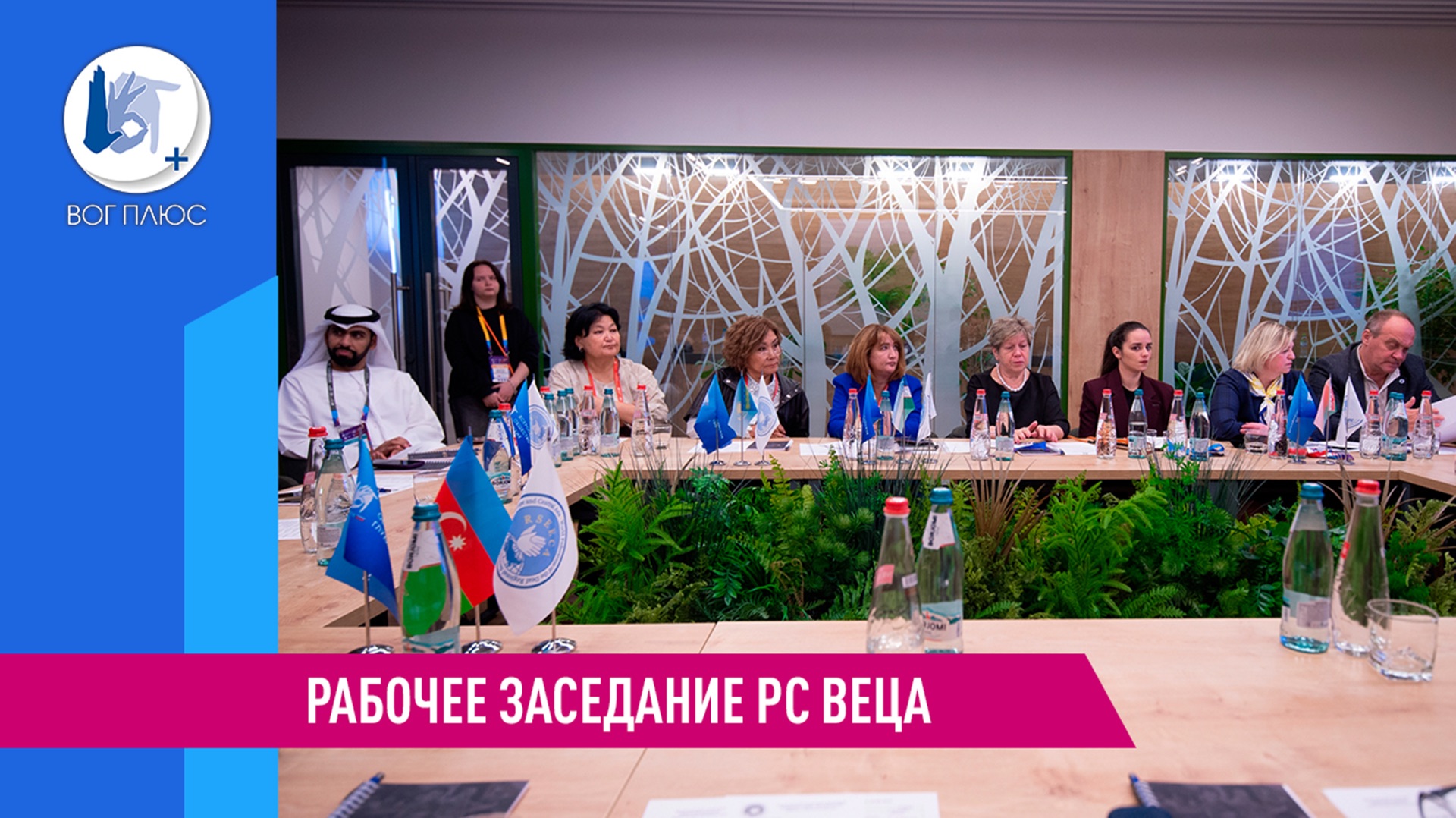 Заседание регионального секретариата ВФГ для стран Восточной Европы и Центральной Азии (РС ВЕЦА)