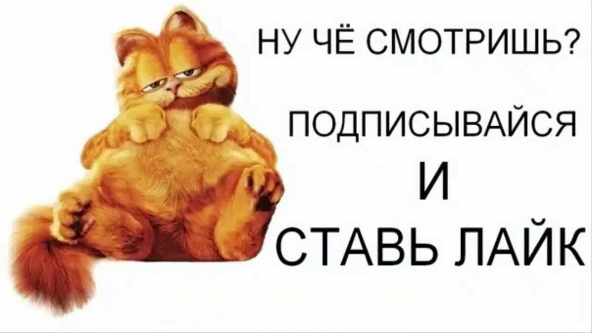 хз как назвать видео