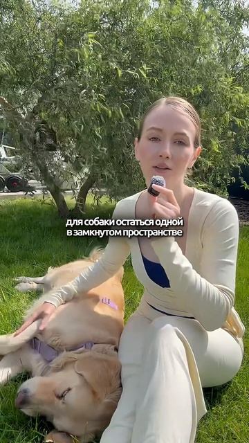 Почему приходя домой вы видите лужи #кинолог #собака #кинолог #охранадома #животные #суперсобака