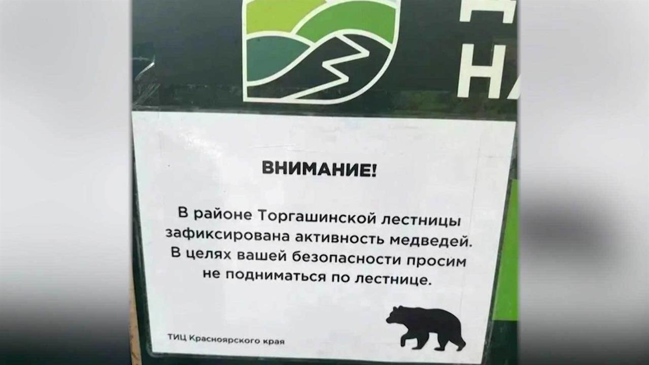 В Красноярске из-за активности медведей временно закрыли Торгашинскую лестницу.