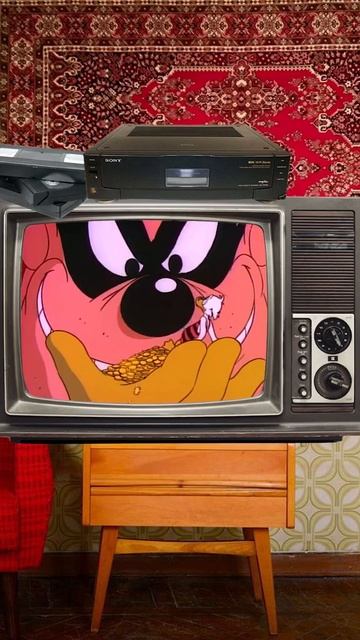 _90е _утиныеистории _vhs _мультики _дональддак _дисней _ретро _видак _тв _детство _ссср(MP4)