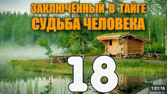 ЗАКЛЮЧЕННЫЙ В ТАЙГЕ  НАКРЫЛИСЬ АЛМАЗЫ  СВОРАЧИВАЕМ УДОЧКИ  ЗАСОСАЛА ТРЯСИНА  СУДЬБА ЧЕЛОВЕКА 18