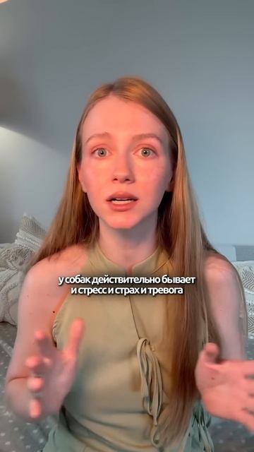 Разбор 2 #кинолог #охранадома #собака #животные #суперсобака #собаки #книгаживотных #история #топ