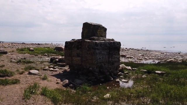 Прогулки зеленого медвежонка. №5, 07.06.2020