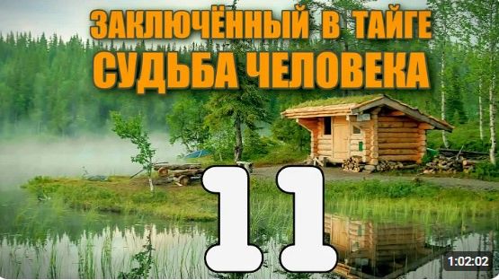 ЗАКЛЮЧЕННЫЙ В ТАЙГЕ  КРУШЕНИЕ САМОЛЕТА - ВЫЖИТЬ В ЛЕСУ  СУДЬБА ЧЕЛОВЕКА  ДВА ОХОТНИКА 11