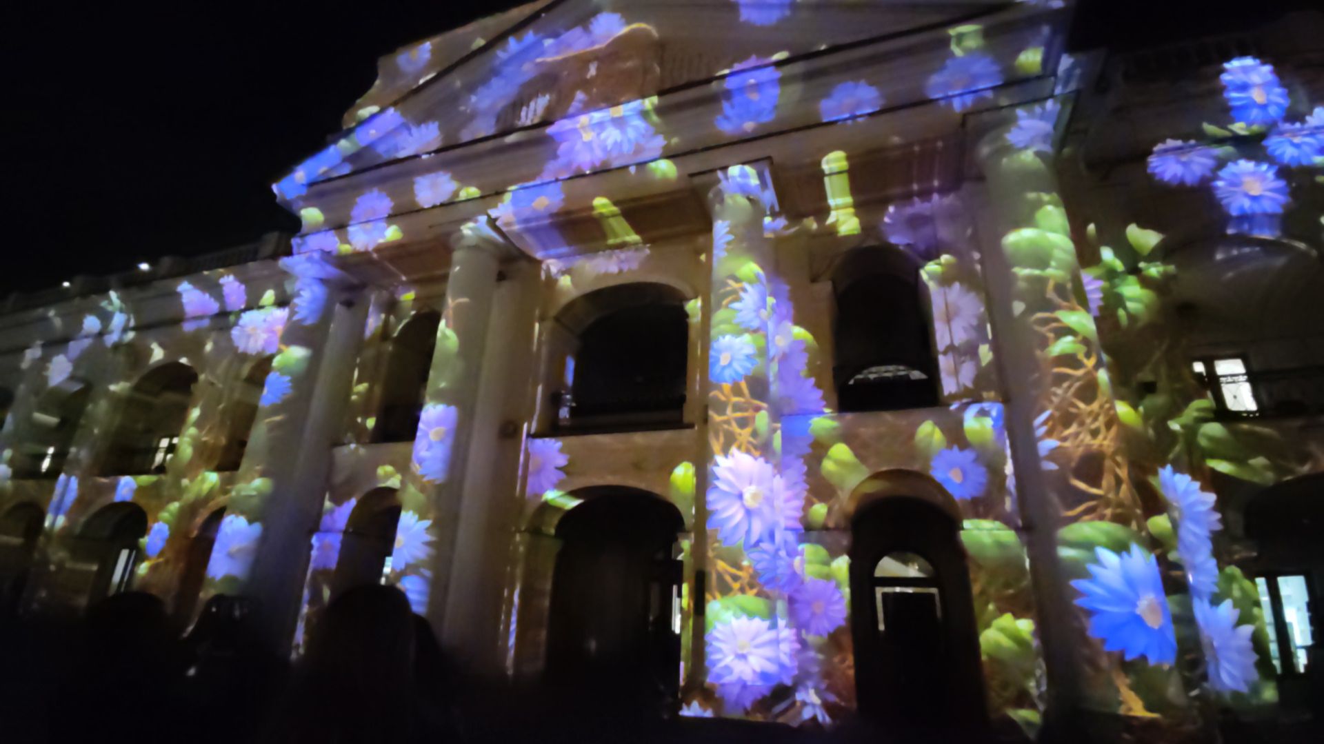 Digital Light Show
