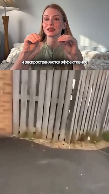 Зачем они оставляют розочки из какашек #кинолог #собака #охранадома #животные #суперсобака #собаки