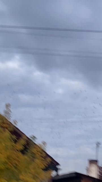 Очень много ворон