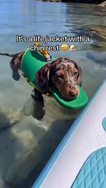Улыбнитесь‼️😂🏖️