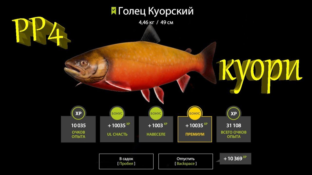 Русская Рыбалка 4 Russian Fishing 4 Где Голец мой)