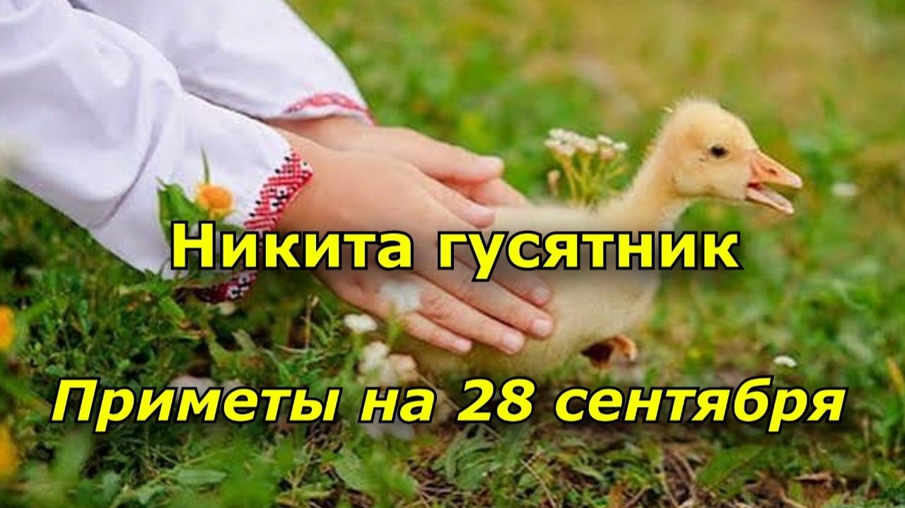 28 сентября — Никита Гусятник: запреты, традиции и погодные приметы