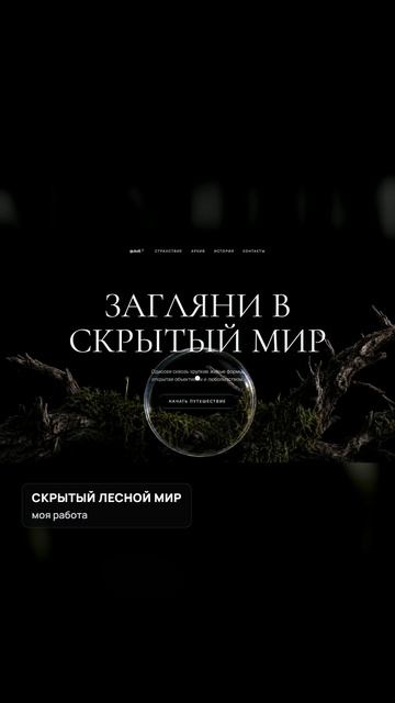 16 сайтов с 3D и эффектами из моего портфолио
