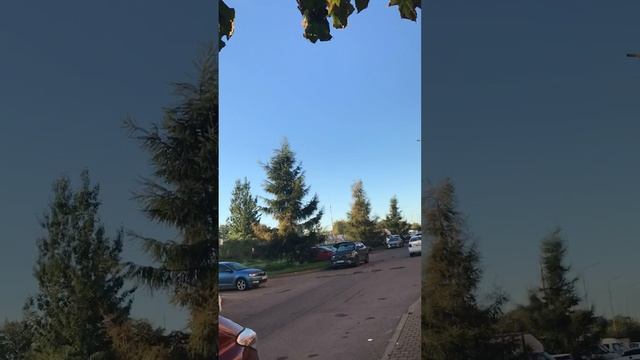 Здравствуй солнце,прогулка утро,свежо!Вы со мной,буду рада вам всегда!