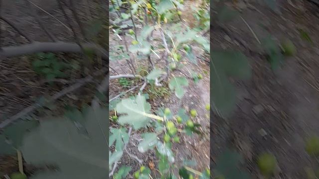 20260928_172354[1]