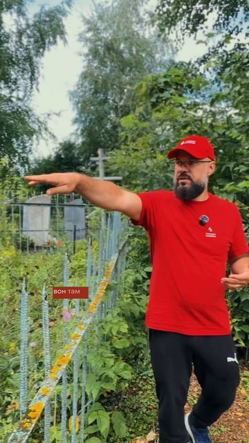Как будто не кладбище, а забытое место силы #памятники