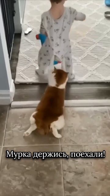 Покатушки!!!