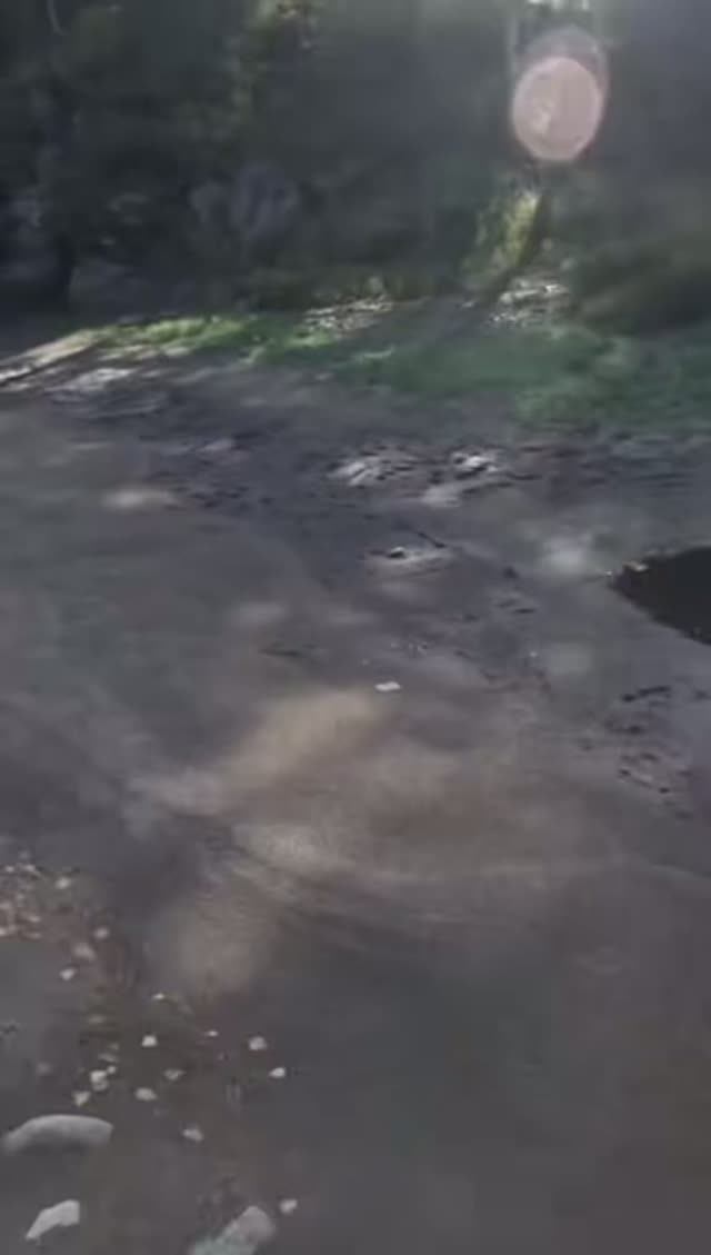 Добрались!!!!