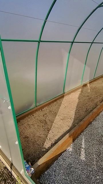 Помидоры решила убрать и теплицу почистить 😅🙈