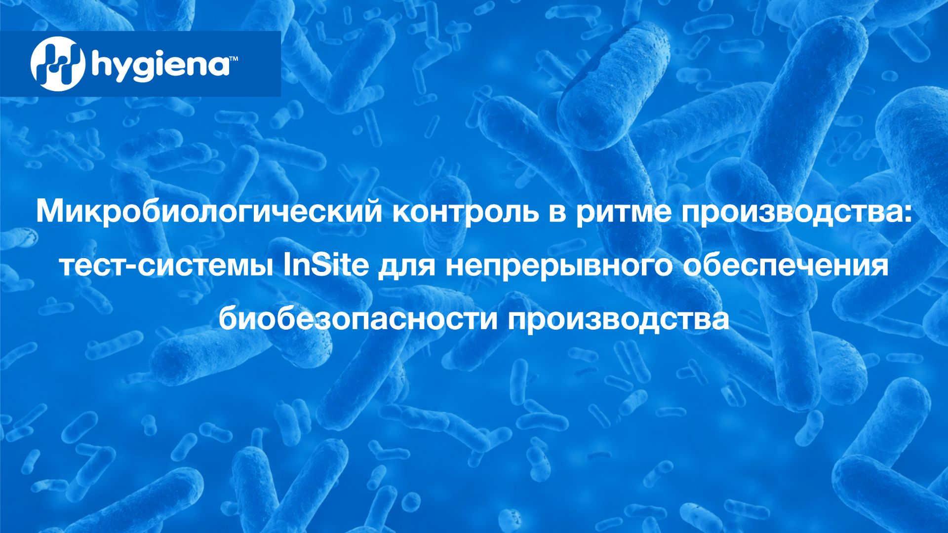 Онлайн семинары