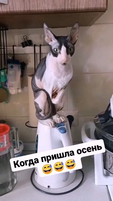 Рядом с тобой мне горячо 😁