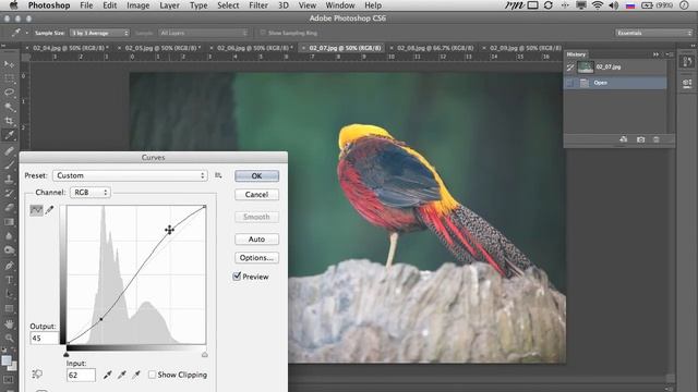 Photoshop | 2.4 | Примеры