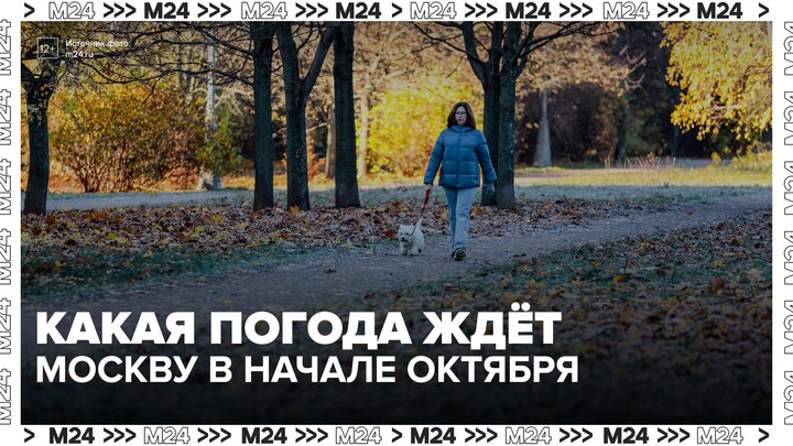 Теплая погода установится в Москве в первой половине недели - Москва 24