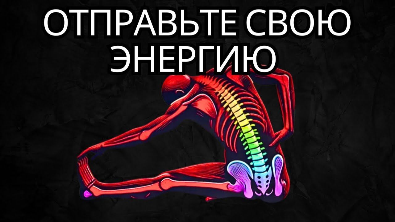 Ваш позвоночник отвечает за вашу духовную эволюцию # Стоицизм на практике