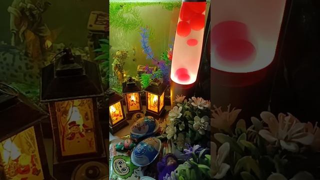Chocolate ASMR Live With A Lava Lamp And Fish In An Aquarium. New ASMR