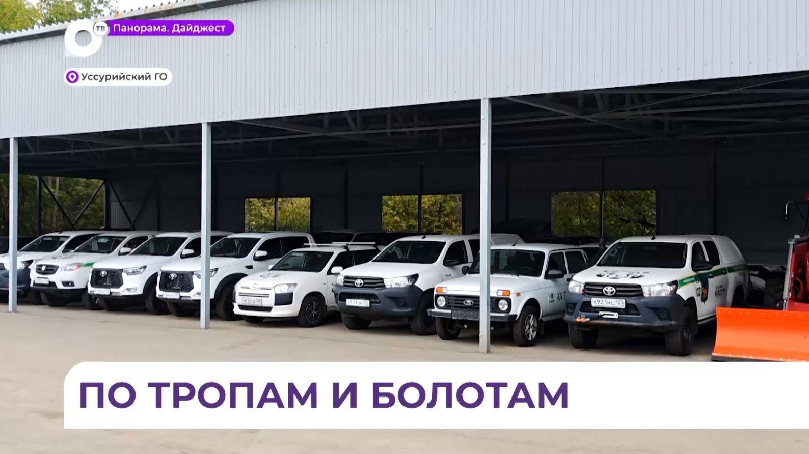 Непроходимая уссурийская тайга станет доступнее работникам леса
